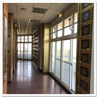 圖片：信樓雙人骨灰櫃